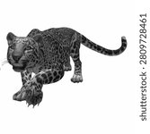 Crouching Leopard Stalking Prey Illustration