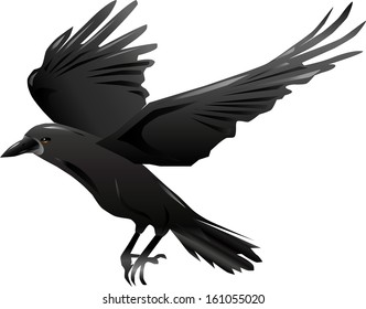 Crow