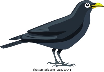 crow