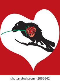 crow