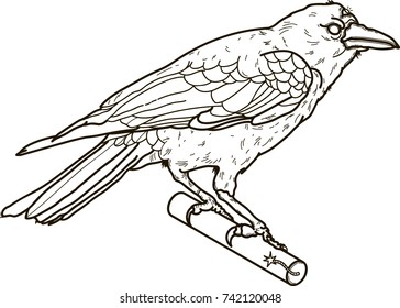 The Crow