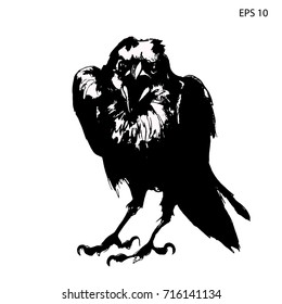 Crow art - Illustration of the black crow. Detailed Vector Art. 