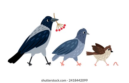 El cuervo con bayas en el pico, la paloma y el gorrión corren tras un gusano. Crow y naturaleza, ilustración de berry de dibujos animados de vectores de aves