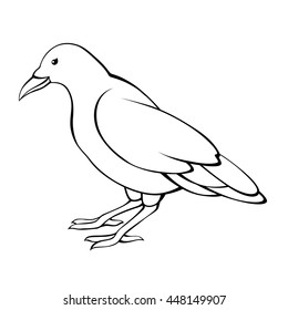 Crow bird black white raven isolated illustration vector