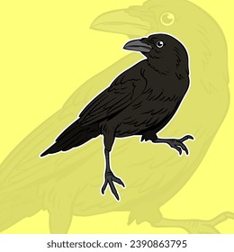 crow bird cartoon. Vector illustration