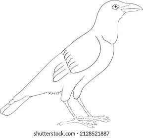 Crow ,bird clip art, black and white, simple bird drawing, kids drawing, vector clipart