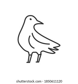 crow bird icon vector illustration