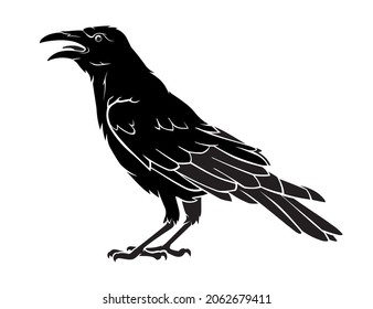 Crow Bird, Isolated Animal Silhouette