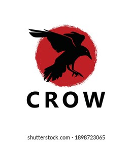 Crow bird logo template design