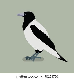 Crow  bird on a branch. Isolated vector illustration of a flat