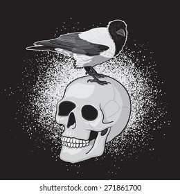 Crow Bird on the Human Skull with Black Background 