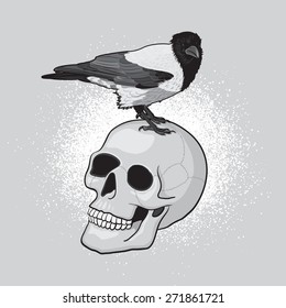 Crow Bird on the Human Skull