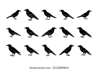 Crow Vogel Silhouette Paket, Vektorgrafik, Tierwelt Clipart