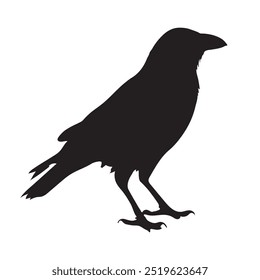 Crow Bird Silhouette Vector Illustration On White Background, Crow Silhouette Icons