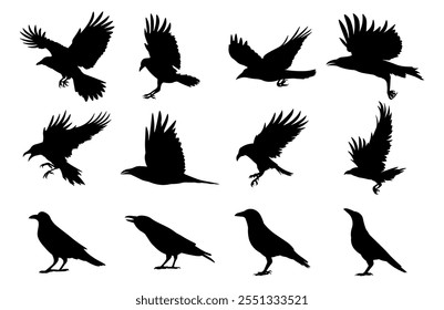 Crow bird silhouettes vector illustration set