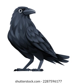 Crow-Cartografik einzeln auf weißem Hintergrund