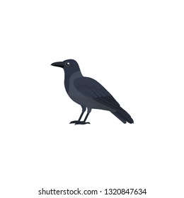 Crow Cartoon Vector On A White Background