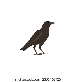 Crow cartoon vector on a white background