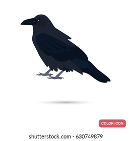 Crow color flat icon for web and mobile design