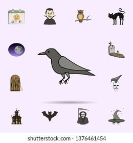 crow colored icon. Halloween icons universal set for web and mobile