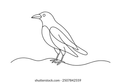 
Crow Continuous line art vector illustration on white background.