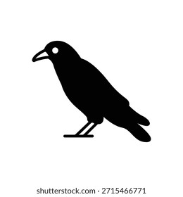 Crow Corvid Bird Fill Icon: Inteligencia y Naturaleza