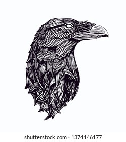 Crow Corvus Corax hand drawn vector illustration in comic tatoo style black and white
