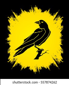 Crow designed on grunge frame background graphic vector.