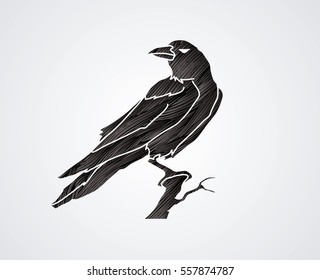 Crow designed using black grunge brush graphic vector.