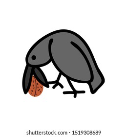 Crow eating nut isolated on the white background. Vector