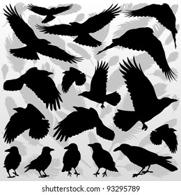 Crow and feathers silhouettes illustration collection background vector