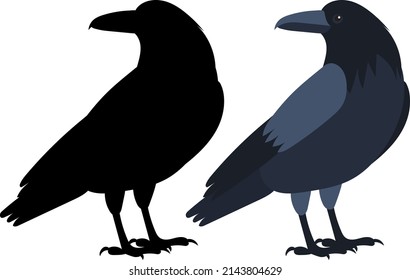 crow flat design, isolated, vector