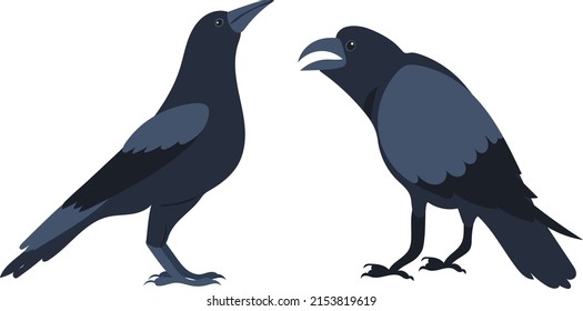 crow flat design ,on white background isolated, vector