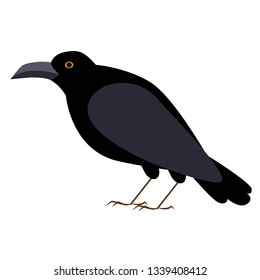 crow flat illustration isolated on white. halloween and mystic forest series
