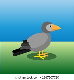 Crow, flat vector illustration.