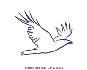 Crow in flight contour, vector illustration