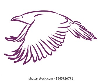 Crow in flight contour, vector illustration
