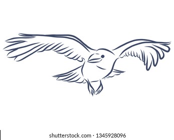 Crow in flight contour, vector illustration