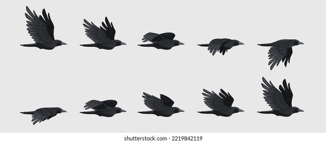 Crow fly sequence. Black flying raven silhouette, black bird wing move for animation frame sequences 2d gaming asset. Vector isolated set. Gothic characters flock migrating, bird in various poses
