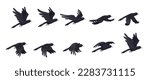 Crow flying animation. Animated fly raven bird sequence cycle, halloween enemies 2d game cartoon crows hovering in sky black birds gothic character sprite vector illustration of crow animation animal