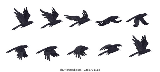 Crow flying animation. Animated fly raven bird sequence cycle, halloween enemies 2d game cartoon crows hovering in sky black birds gothic character sprite vector illustration of crow animation animal