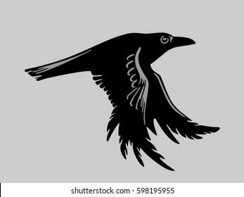 crow flying on the gray background