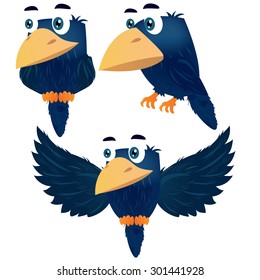 Crow from the front and side