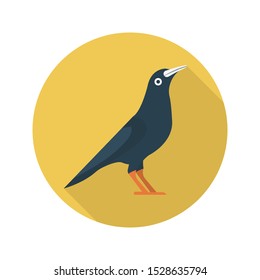crow glypg flat vector icon