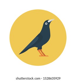 crow glyph flat vector icon