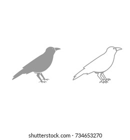 Crow grey set icon .