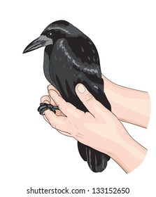 The Crow and the hands. Vector illustration.