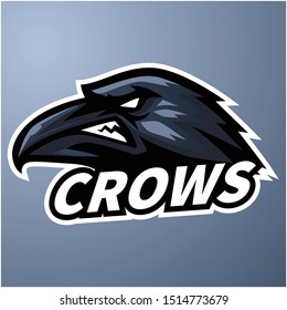 crow head mascot logo template for esport activity