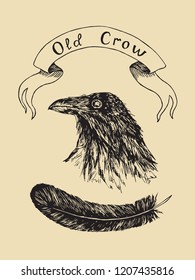 Crow head portrait with black feather and label banner old crow, hand drawn doodle, sketch outline, vector illustration on soft yellow background