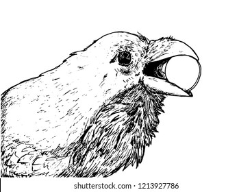 A Crow Holds A Coin In Its Beak. Sketch Drawn By Hand.